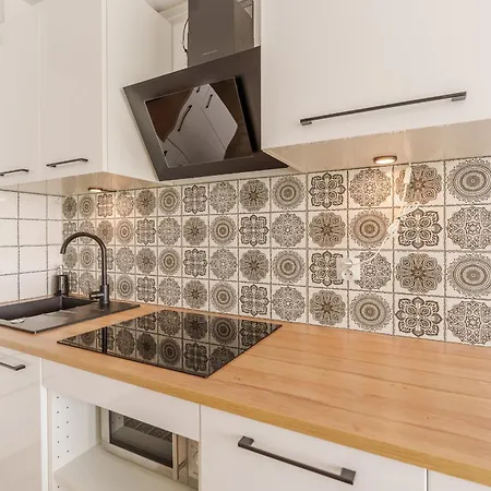 Koral Surfingbird Kołobrzeg