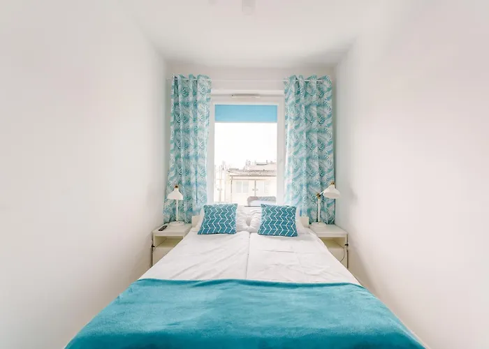 Koral Surfingbird Kolobrzeg