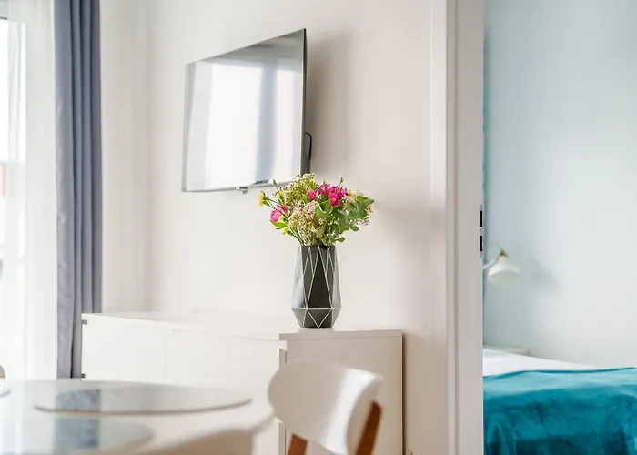 Koral Surfingbird * Kolobrzeg